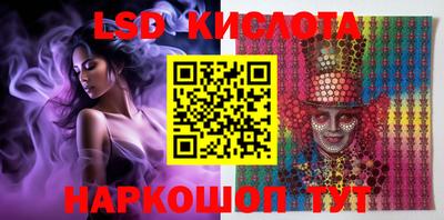 индика Лесосибирск