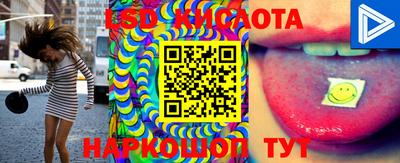 индика Лесосибирск