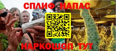 индика Лесосибирск