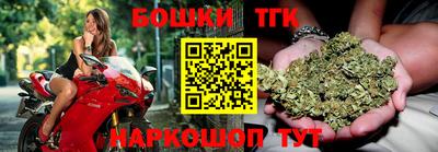 индика Лесосибирск