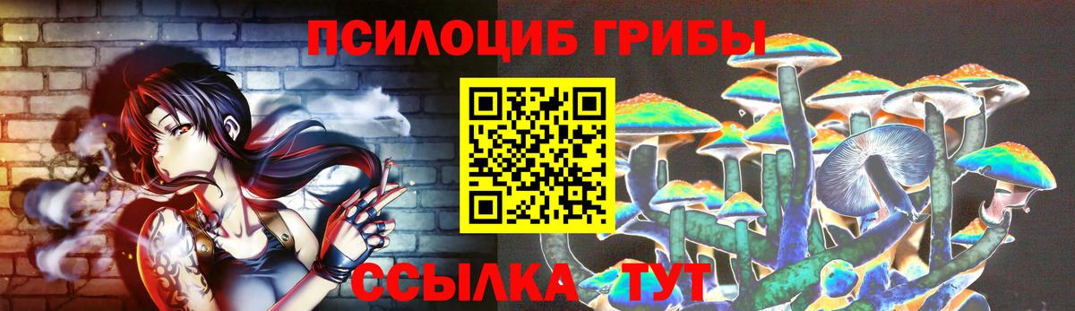 Галлюциногенные грибы Cubensis  купить закладку  Иваново  Вход с VPN 
